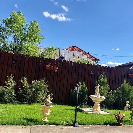 Casa Alexia Hotel Haţeg Екстериор снимка
