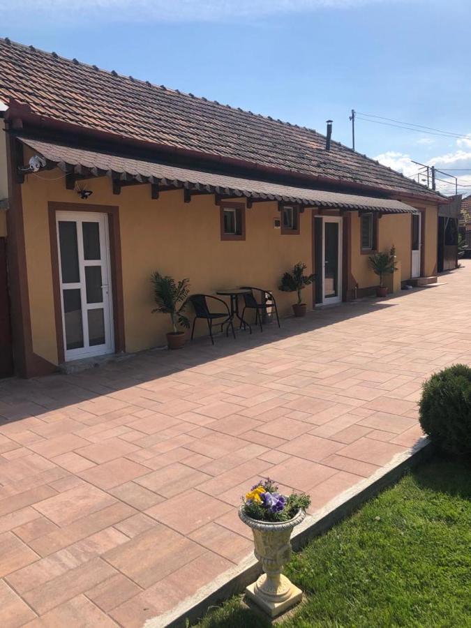 Casa Alexia Hotel Haţeg Екстериор снимка