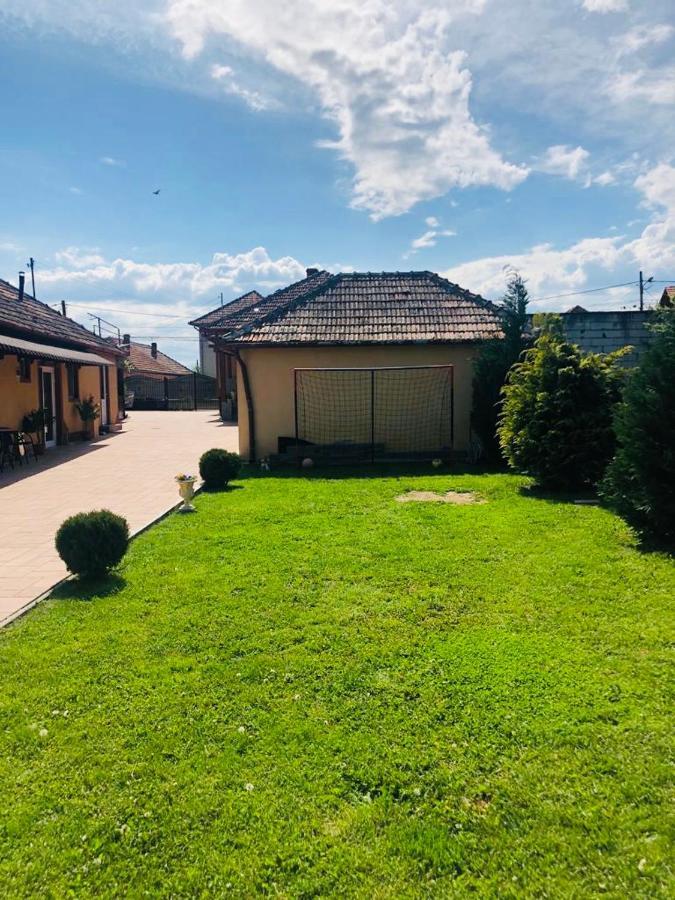 Casa Alexia Hotel Haţeg Екстериор снимка