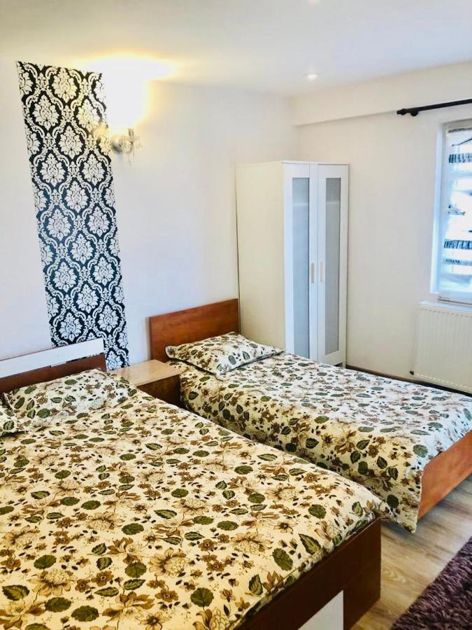Casa Alexia Hotel Haţeg Екстериор снимка