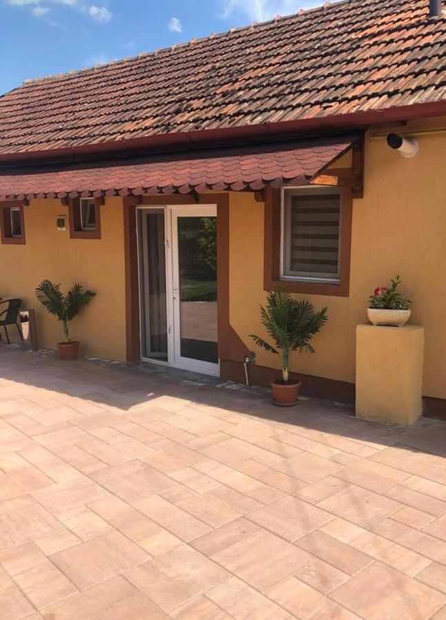 Casa Alexia Hotel Haţeg Екстериор снимка