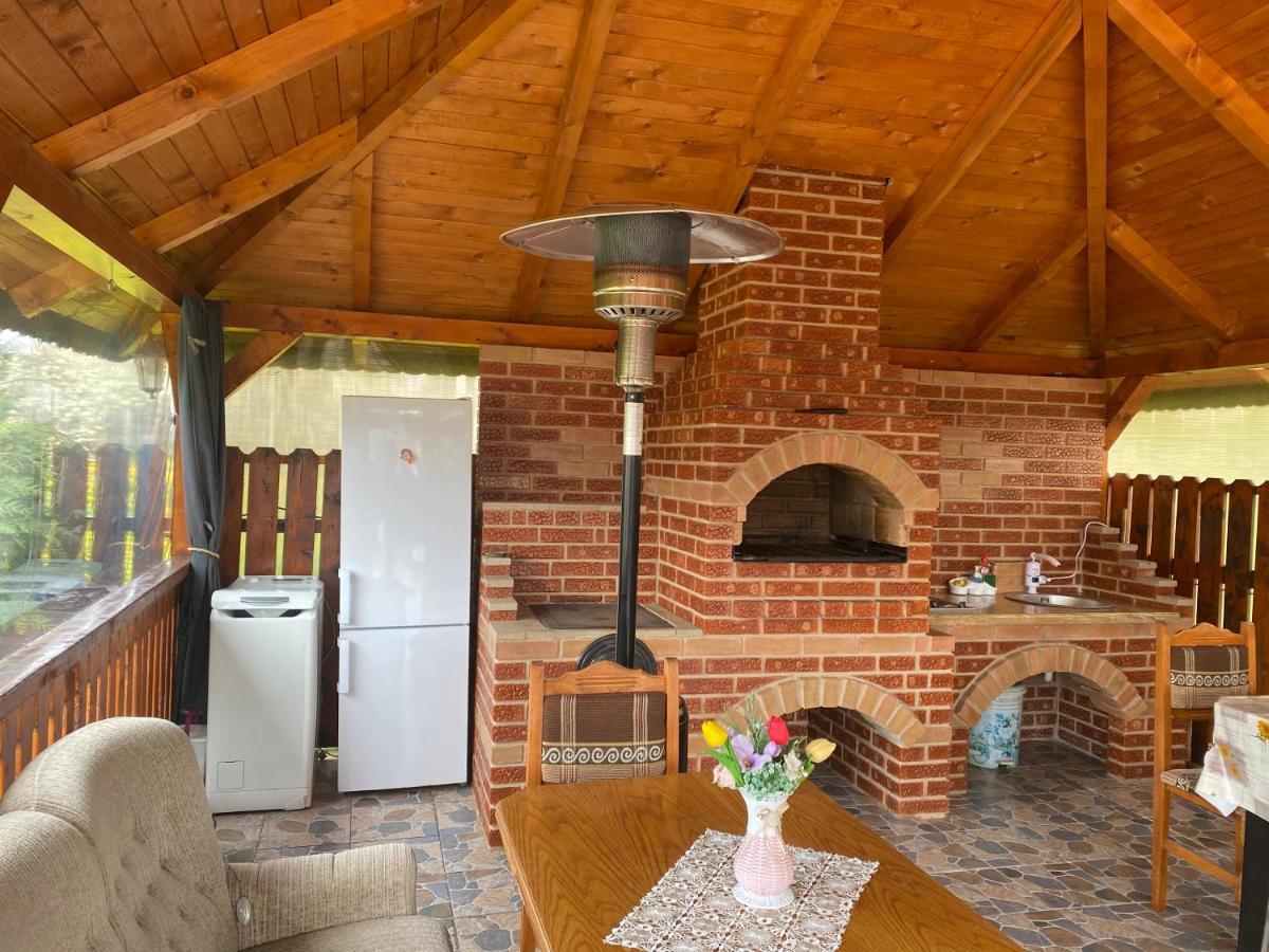 Casa Alexia Hotel Haţeg Екстериор снимка