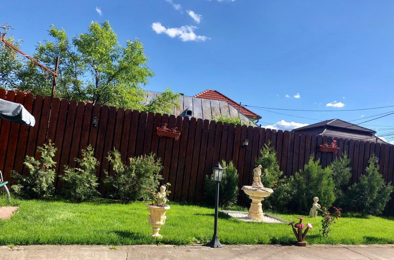 Casa Alexia Hotel Haţeg Екстериор снимка